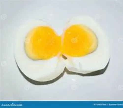 Egg & Piece